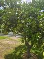9345 171ST LE FLORE Lane - Photo 28