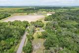 847 Palmetto Street - Photo 14