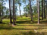 8834 Winter Garden Vineland Road - Photo 7