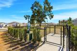 5539 Braken Fern Way - Photo 40
