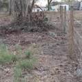  Alturas Babson Park Cutoff Road - Photo 10