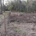  Alturas Babson Park Cutoff Road - Photo 11