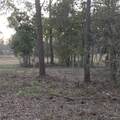  Alturas Babson Park Cutoff Road - Photo 12
