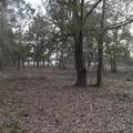  Alturas Babson Park Cutoff Road - Photo 13