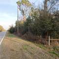  Alturas Babson Park Cutoff Road - Photo 4