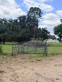 12764 County Road 223 - Photo 63