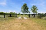 14433 Lake Yale Road - Photo 4