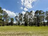 35135 Pinegate Trail - Photo 11