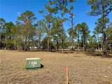 35135 Pinegate Trail - Photo 19