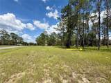 35135 Pinegate Trail - Photo 21