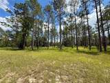 35135 Pinegate Trail - Photo 22