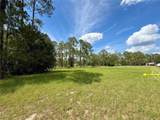 35135 Pinegate Trail - Photo 24