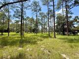 35135 Pinegate Trail - Photo 8