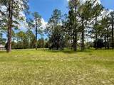 35135 Pinegate Trail - Photo 9