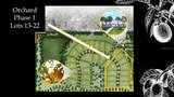 12558 58th Circle - Photo 4
