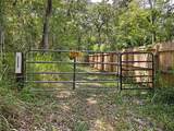 9550 230 Street - Photo 1