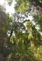 15208 Williston Rd - Photo 30