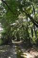 15208 Williston Rd - Photo 31