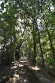 15208 Williston Rd - Photo 32
