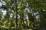 15208 Williston Rd - Photo 33