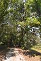 15208 Williston Rd - Photo 34
