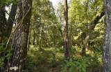15208 Williston Rd - Photo 35