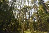 15208 Williston Rd - Photo 39