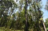 15208 Williston Rd - Photo 40