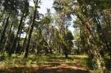 15208 Williston Rd - Photo 41