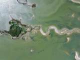  Island - Photo 2