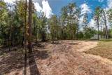 177 Whirlwind Loop - Photo 35