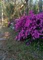 27904 114 Place - Photo 3