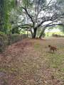 8188 Jasmine Avenue - Photo 44