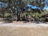 531 Elim Church Road - Photo 38