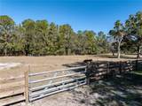 531 Elim Church Road - Photo 43