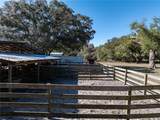 531 Elim Church Road - Photo 44