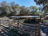 531 Elim Church Road - Photo 45