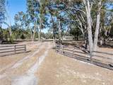 531 Elim Church Road - Photo 50