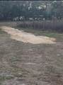 20548 Us Highway 441 - Photo 10