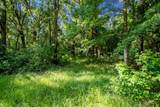 22481 County Road 18 - Photo 38