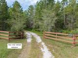 22205 County Road 349 - Photo 50