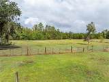 17411 County Road 1471 - Photo 44