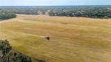 18708 County Road 250 - Photo 1