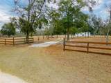 5431 163RD Path - Photo 12