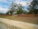 5431 163RD Path - Photo 13