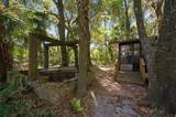 15311 107TH Street - Photo 10