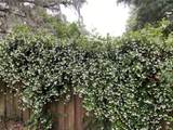 340 30TH Avenue - Photo 42