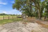 3460 County Road 337 - Photo 59