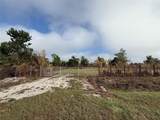 17231 268TH Street - Photo 6