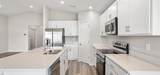 35397 Coventry Fields Loop - Photo 8